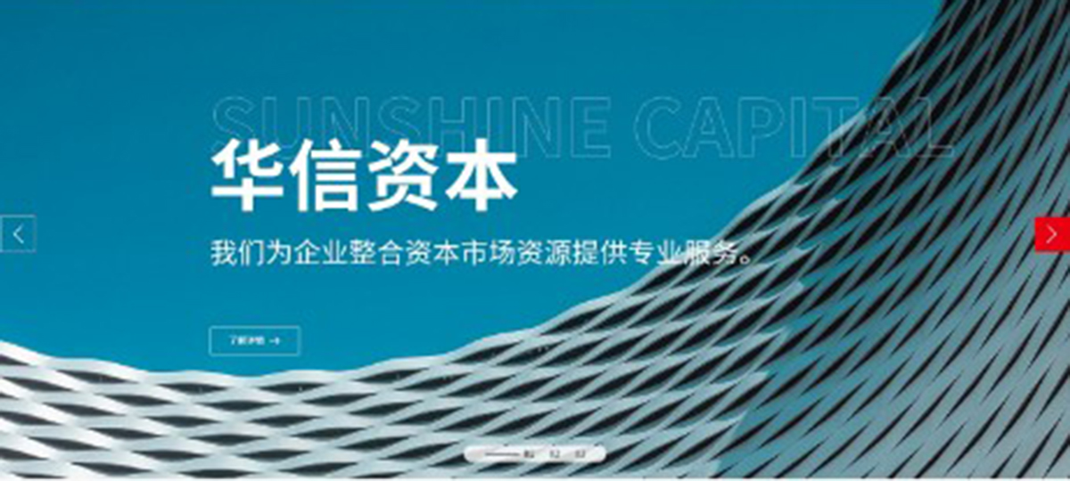 重慶金融投資行業網站案例